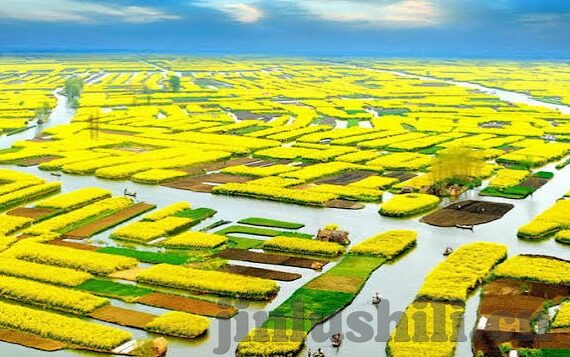 91麻豆成人久久精品二区三区-91麻豆，解锁成人娱乐的数字世界新维度