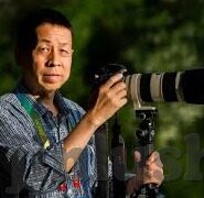 99久久人妻精品免费一区-99久久人妻精品免费一区，网络世界的灰色地带与个人伦理的边界