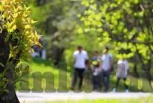 大象传媒官网网址-大象传媒，连接创意与现实的桥梁