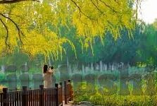 麻豆传煤沈娜娜视频-麻豆传媒旗下艺人沈娜娜，独特魅力的传媒界探索