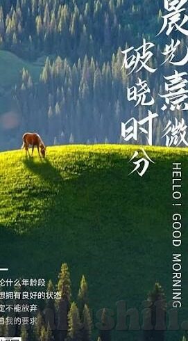 日韩av毛片-日韩影视文化中的AV毛片现象，多元视角下的文化探讨