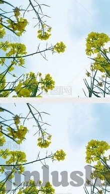 如何下载大象传媒-下载大象传媒的实用指南