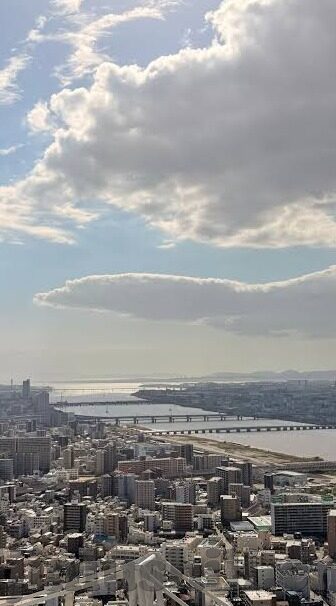 糖心app链接贴吧-探索网络时代的奇趣角落，糖心APP链接在贴吧的流转